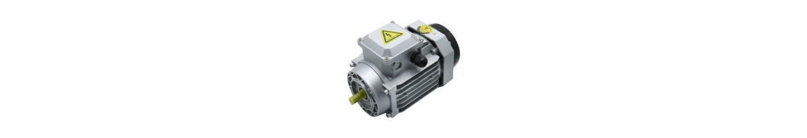 Asynchronous Motors