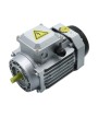 Asynchronous Motors